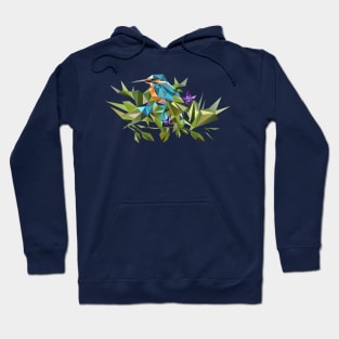 Common Kingfisher (halcyon) in Triangles Hoodie